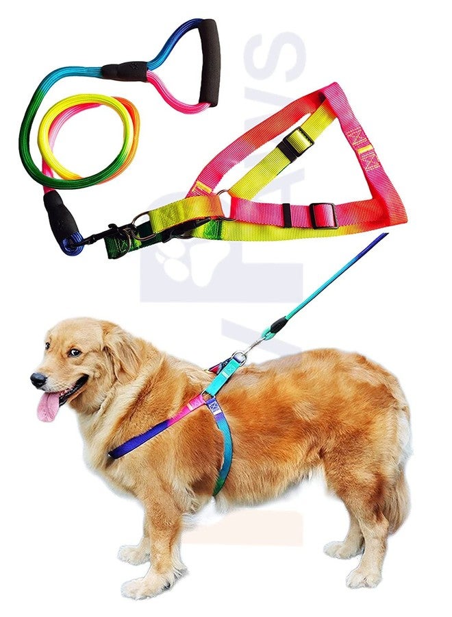 Pups&Pets طقم سرج صدر قابل للتعديل ومقود للكلاب من Pups&Pets | سرج آمن من النايلون بألوان قوس قزح، مقاس 1 بوصة، مع مقود للكلاب متوسطة الحجم (قابل للتعديل من 46 إلى 68 سم) - Image 1